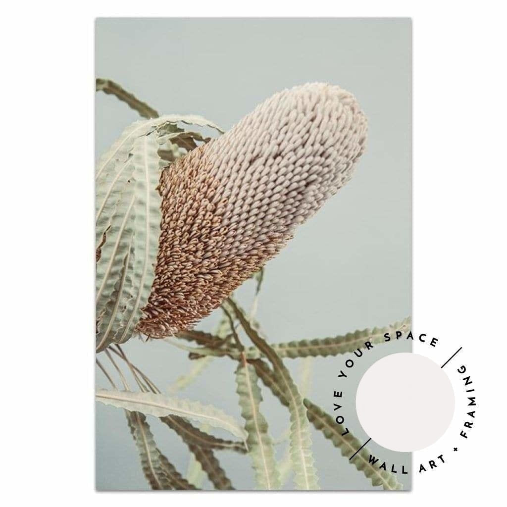 Set of 2 - Banksia On Green no.2 & Birds - Love Your Space