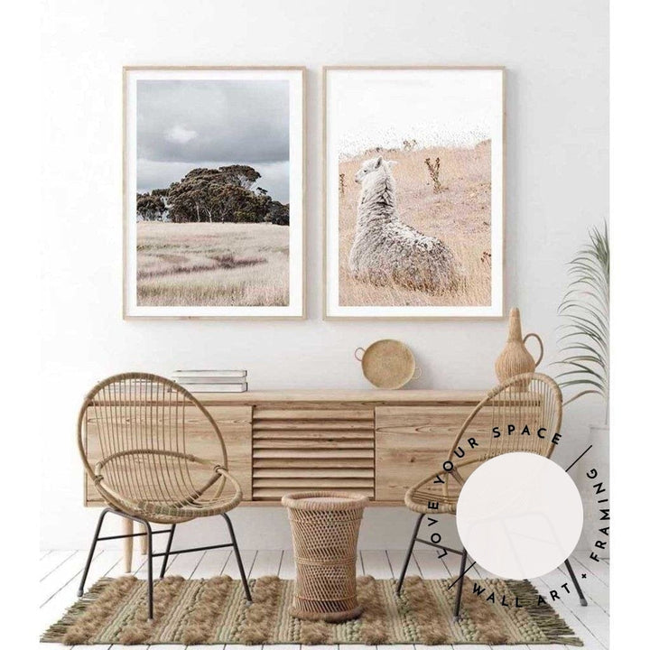 Set of 2 - Country Life - Victoria & Outback Alpaca - Love Your Space