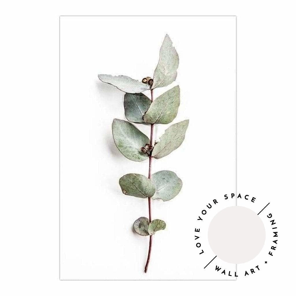 Set of 2 - Eucalyptus Leaves no.1 & no.2 - Love Your Space