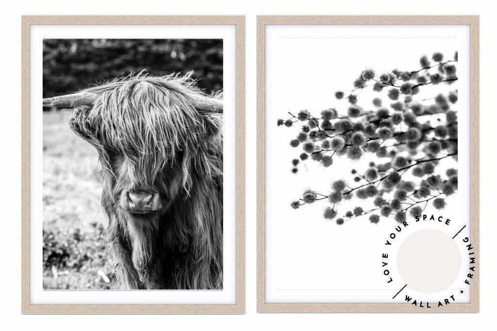 Set of 2 - Highland I B+W + Wattle - Love Your Space