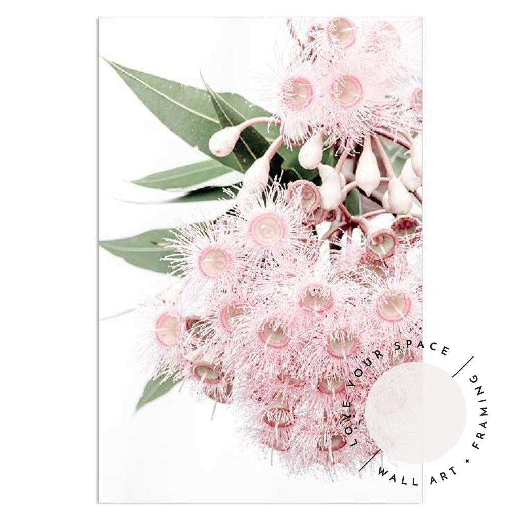 Set of 2 - Icy Pink Eucalyptus no.1 & no.2 - Love Your Space