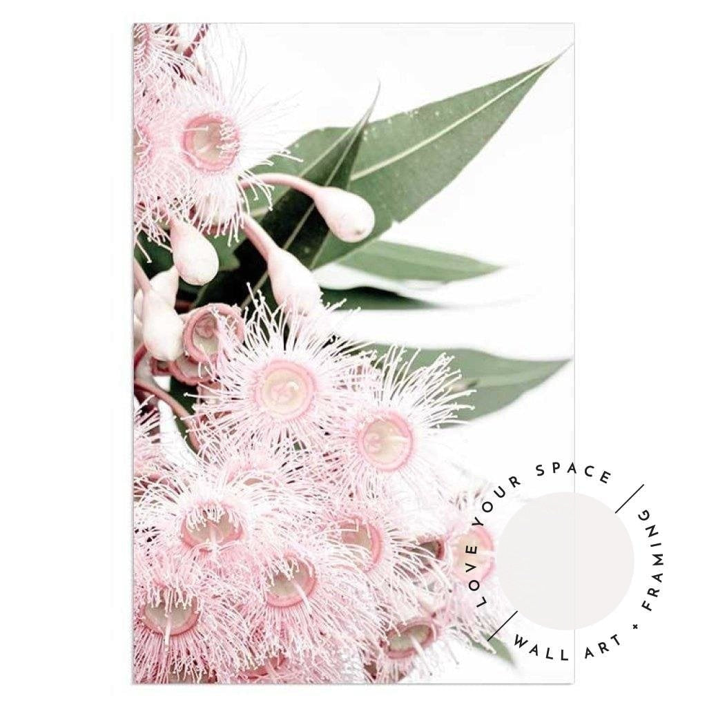 Set of 2 - Icy Pink Eucalyptus no.1 & no.2 - Love Your Space