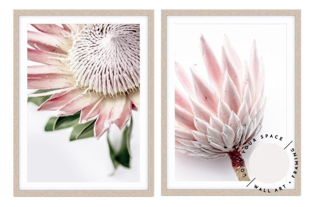 Set of 2 - King Protea I + King Protea II - Love Your Space