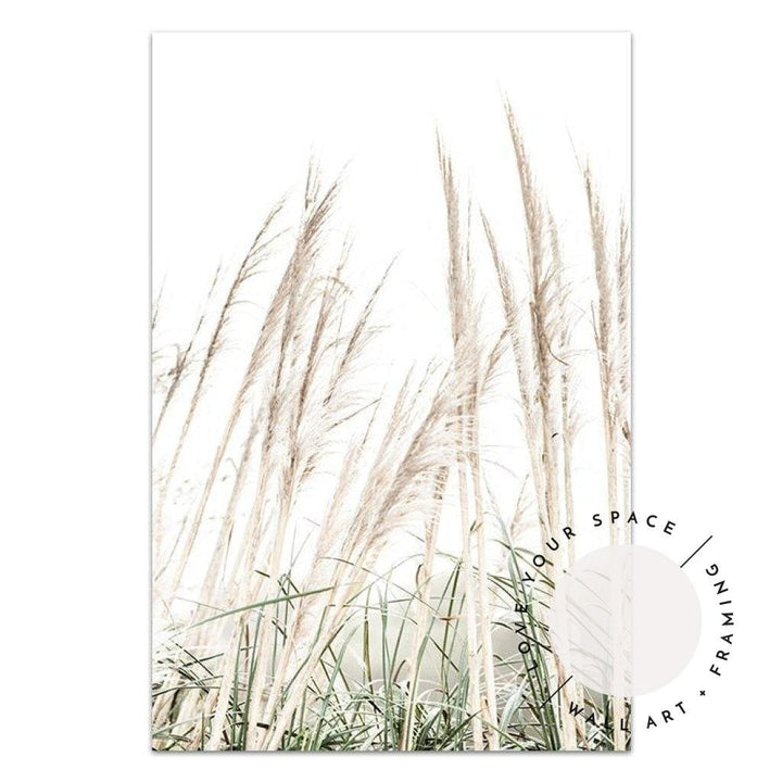 Set of 2 - Pampas Grass II & Dreamer Quote - Love Your Space