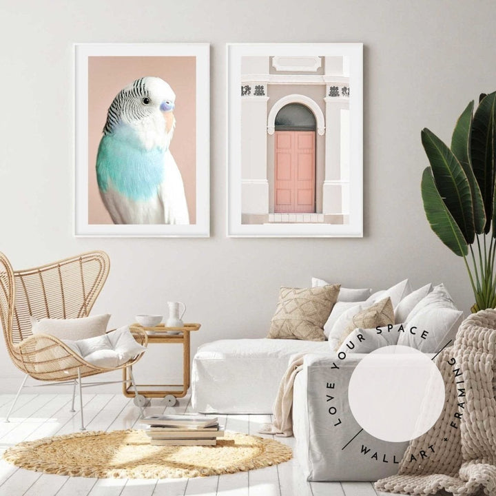 Set of 2 - Parakeet & Peach Door - Carrington - Love Your Space