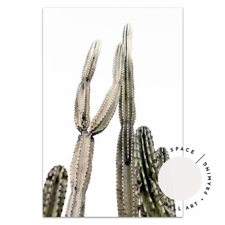 Set of 2 - Pink Door & Prickly II - Love Your Space