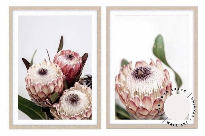 Set of 2 - Protea I + Protea II - Love Your Space