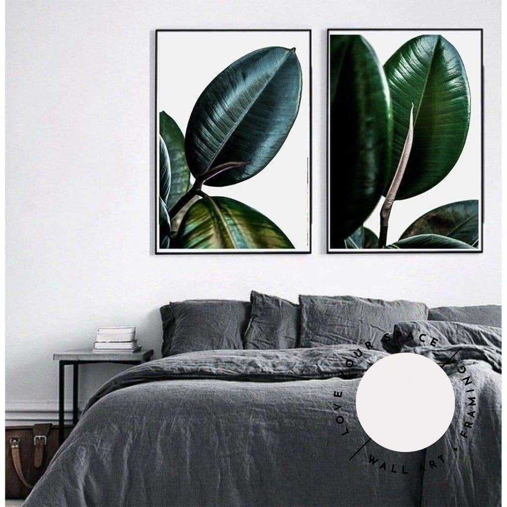 Set of 2 - Rubber Ficus I + II - Love Your Space