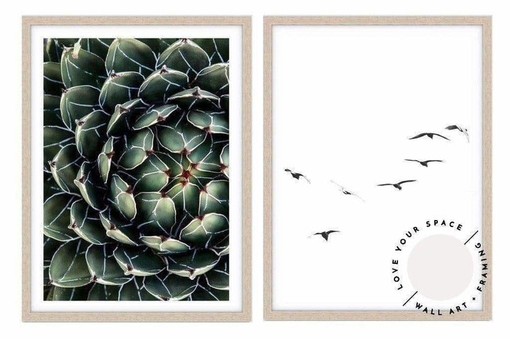 Set of 2 - Succulent IV + Birds - Love Your Space