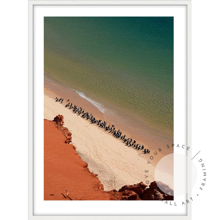 Shark Bay - Western Australia