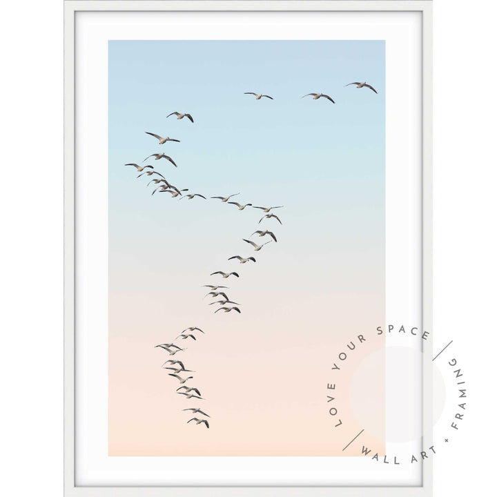 Snow Geese