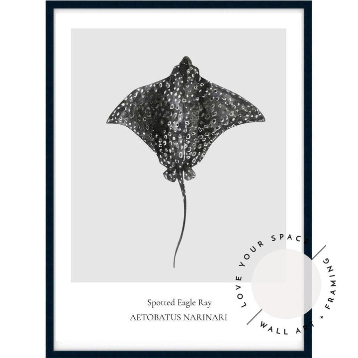 Spotted Eagle Ray - Love Your Space