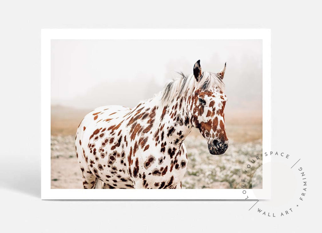 Spotty Horse