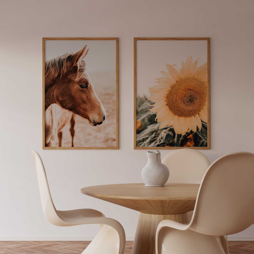 Brown Mare