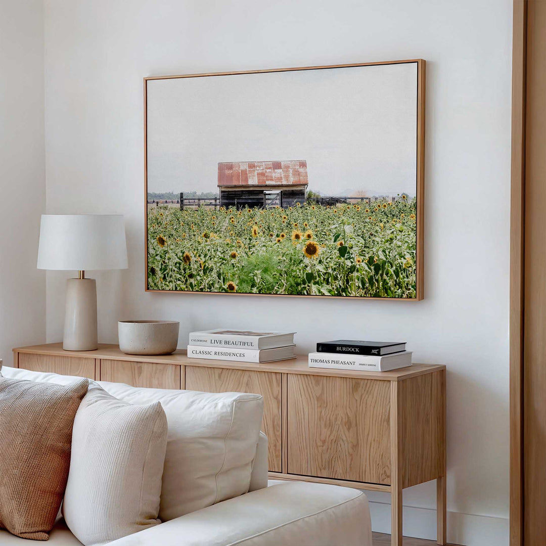 Sunflower Country