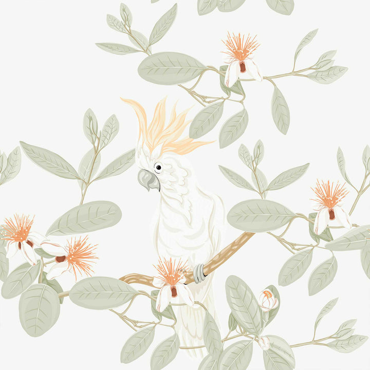 Cockatoo & Eucalyptus Designer Wallpaper