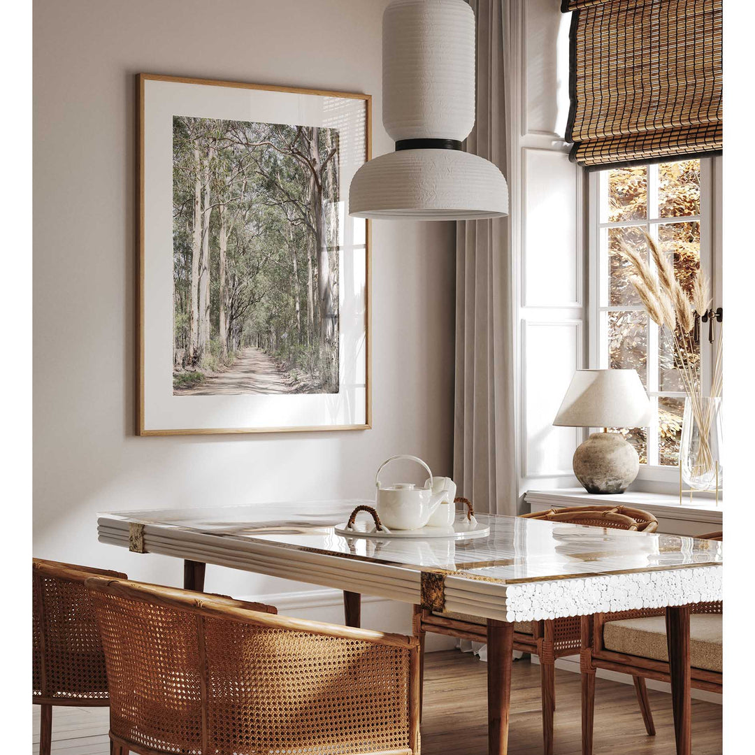 Gumtrees - The Hunter Valley