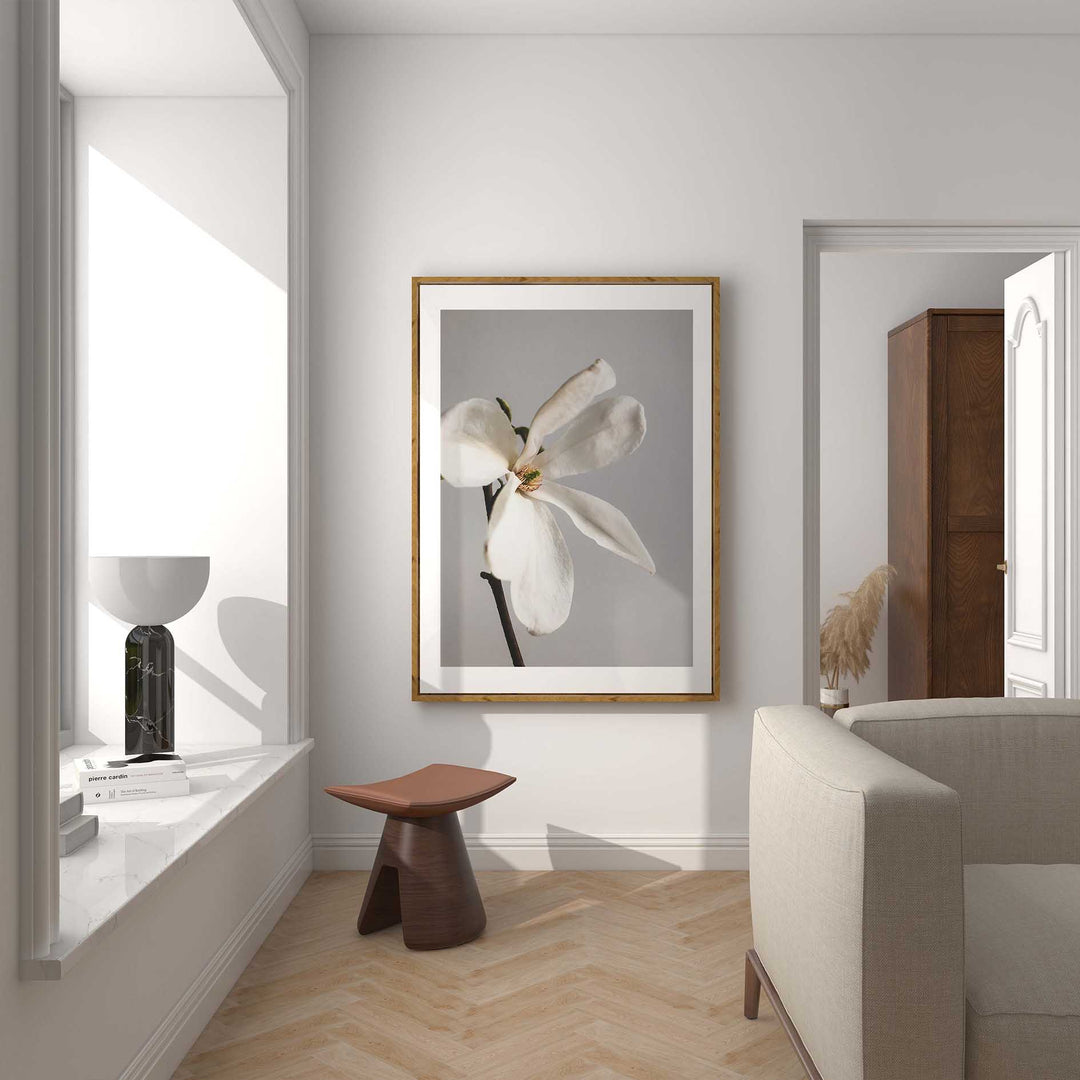 Single Magnolia