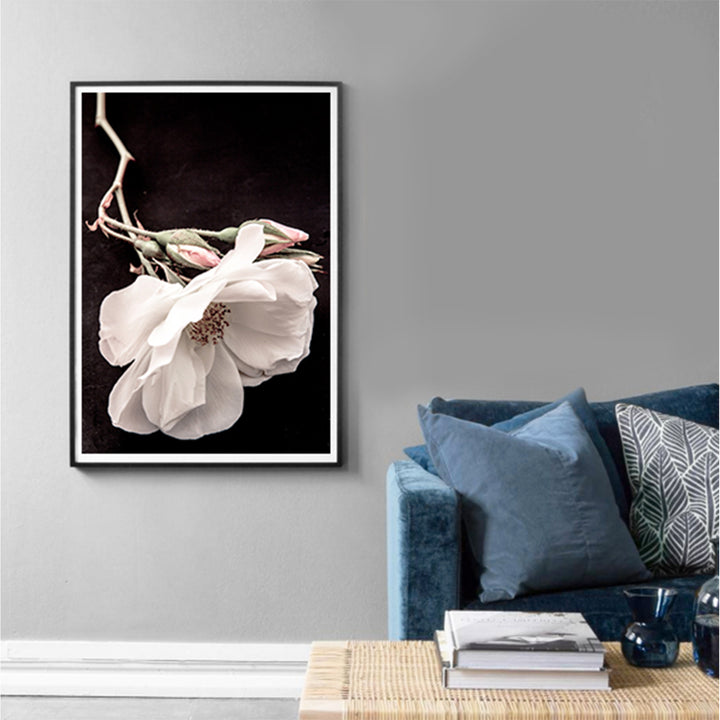 White Rose I
