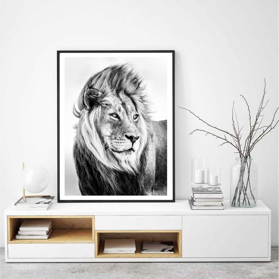 Lion - B&W