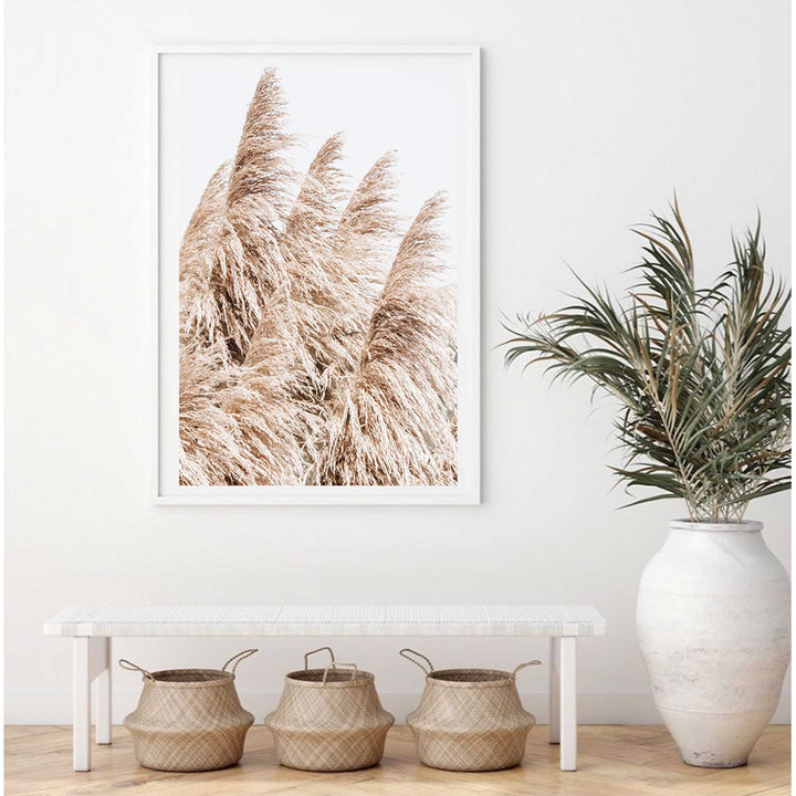 Pampas Grass no.3