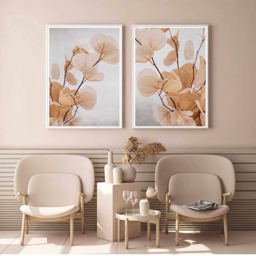 Dried Eucalyptus no.5  - Light