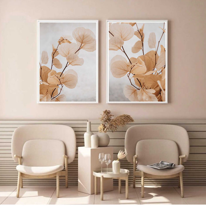 Dried Eucalyptus no.5  - Light