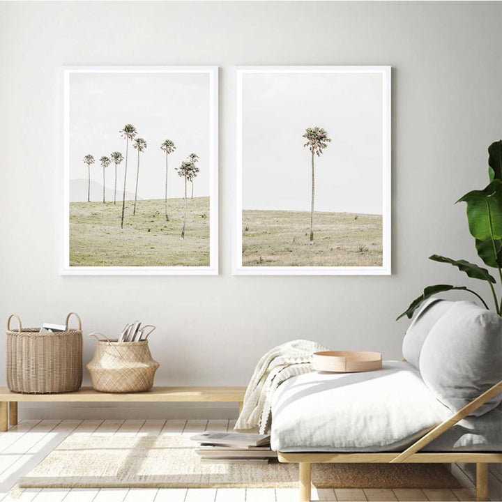 Jamberoo Palms no.2