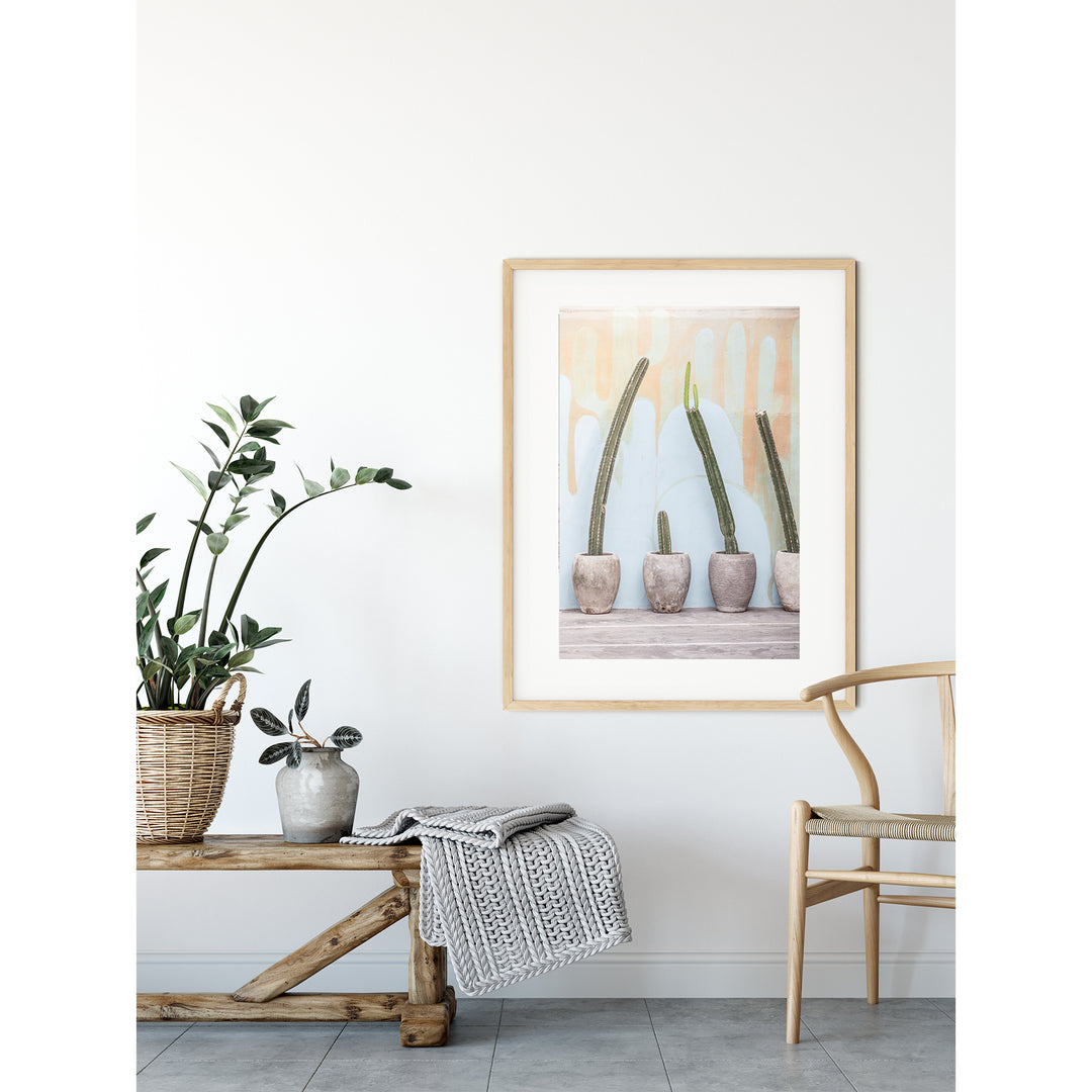 Bali Cactus no.2