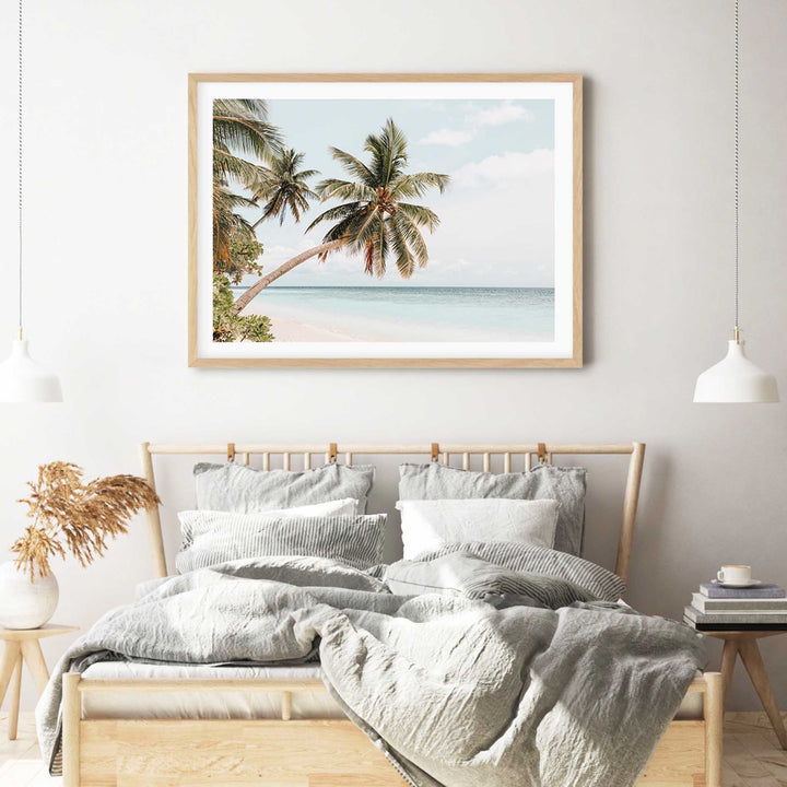 Maldive Palms II