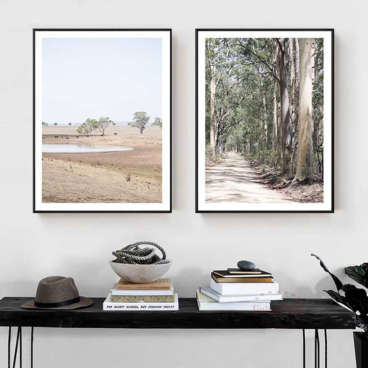 The Drought no.2 - The Hunter Valley