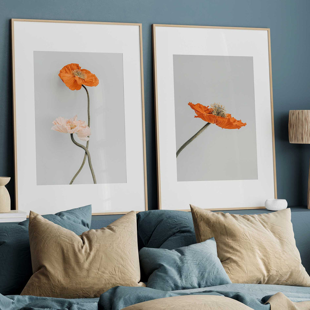 Tall Poppy I