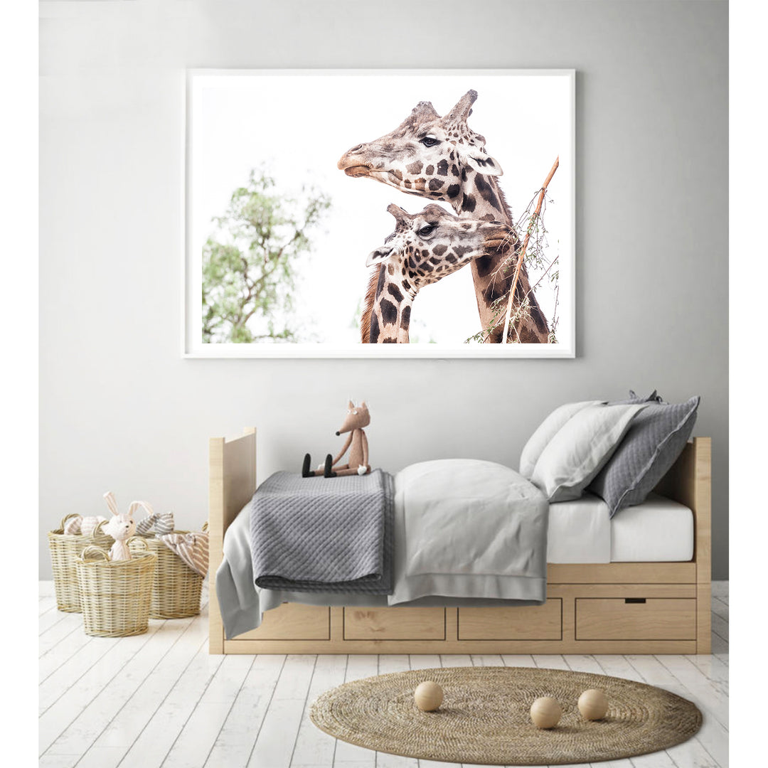 Giraffe Love