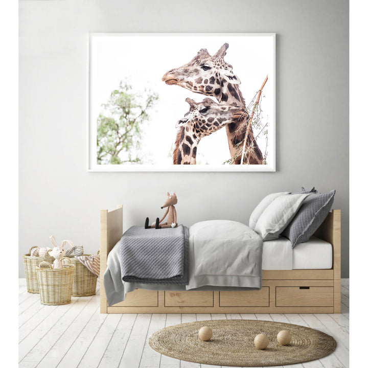 Giraffe Love