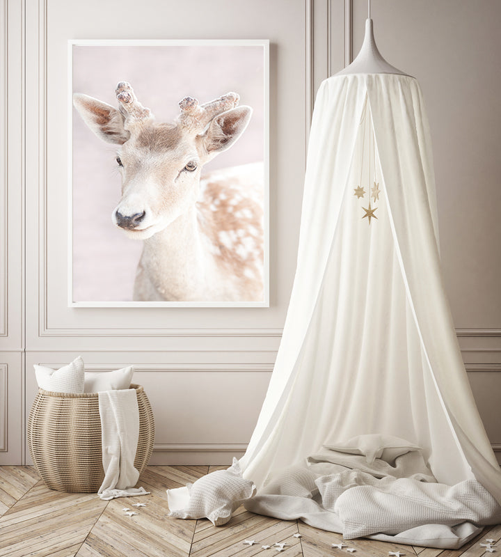 My Deer