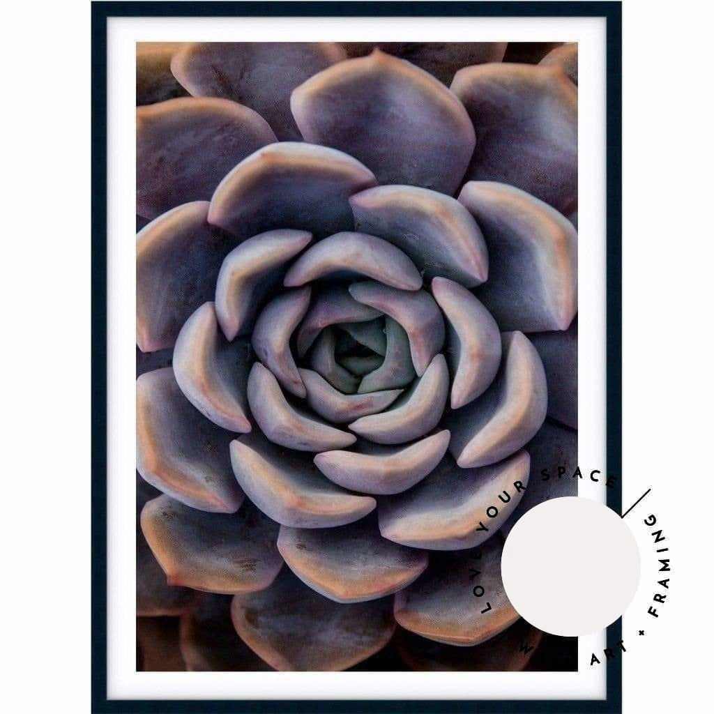 Succulent III - Love Your Space