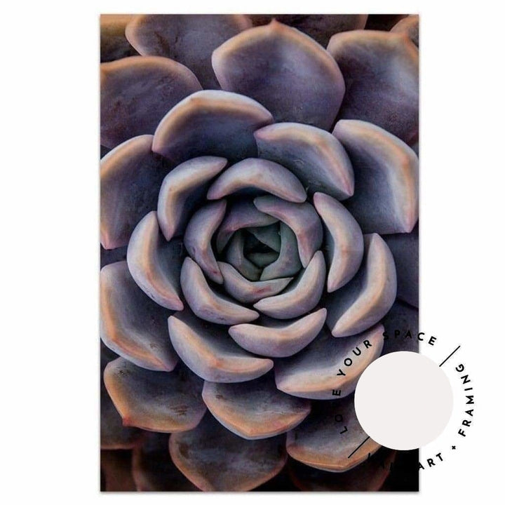 Succulent III - Love Your Space