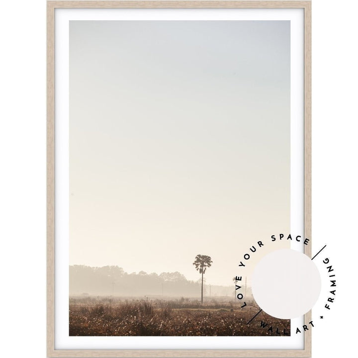 Sunrise Palms no.3 - Stockton Beach - Love Your Space