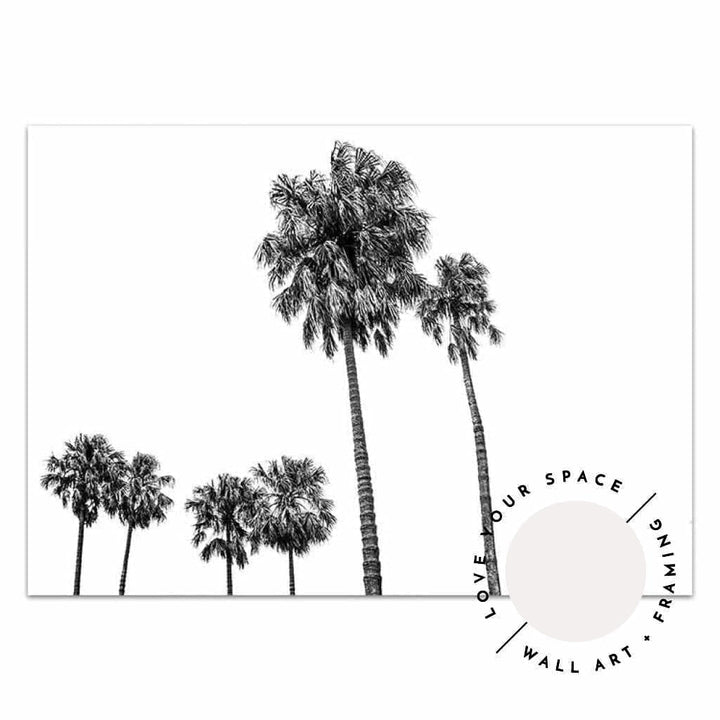 Tall Palms no.2 - Black & White - Love Your Space