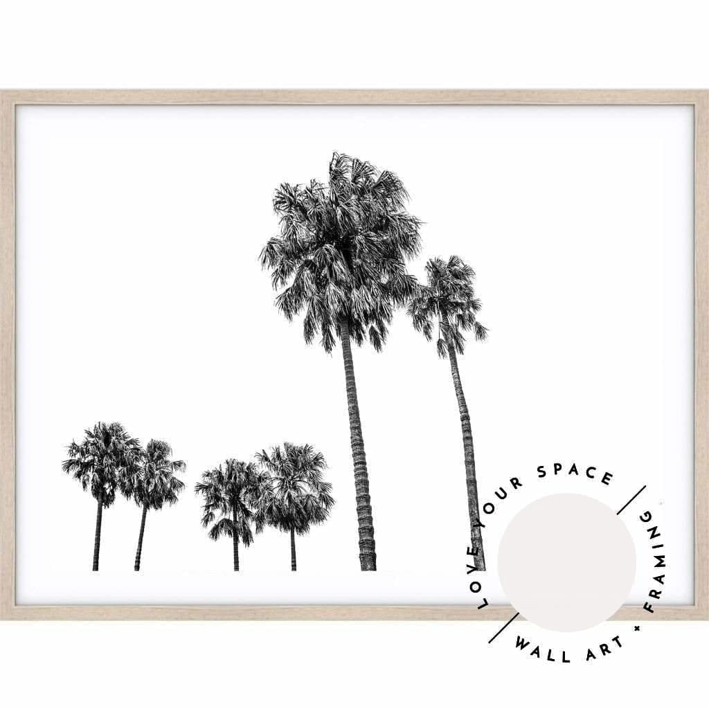 Tall Palms no.2 - Black & White - Love Your Space