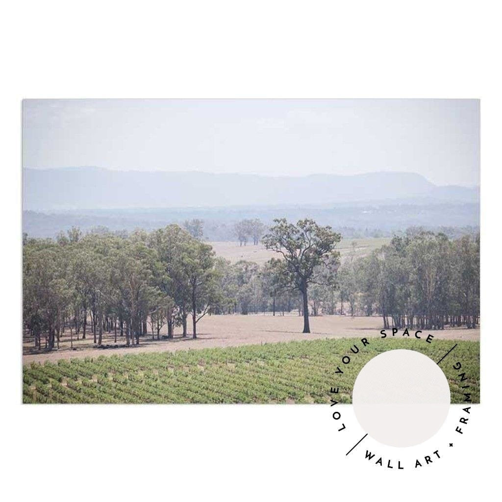 The Hunter Valley Vineyards - Love Your Space