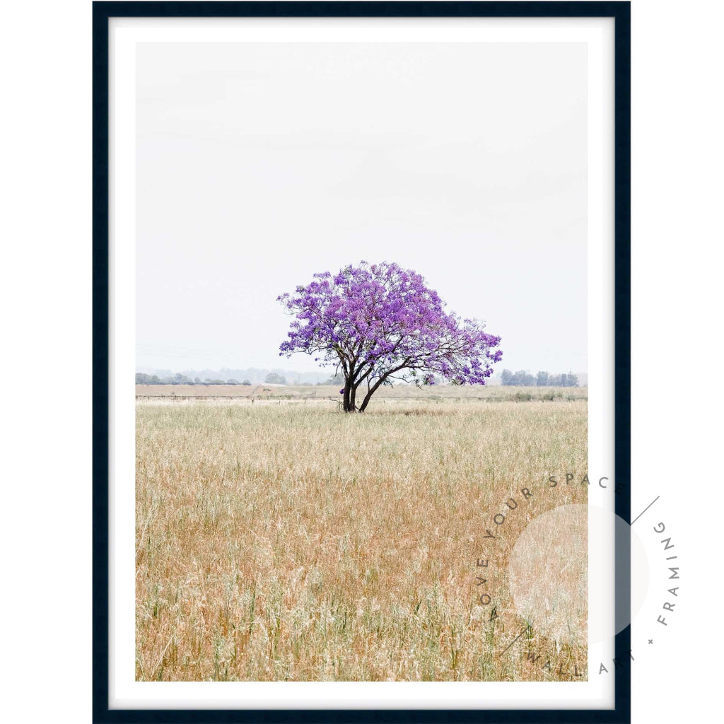 The Lonely Jacaranda I A4 (21cm x 29.7cm) / Black Posters Prints & Visual Artwork