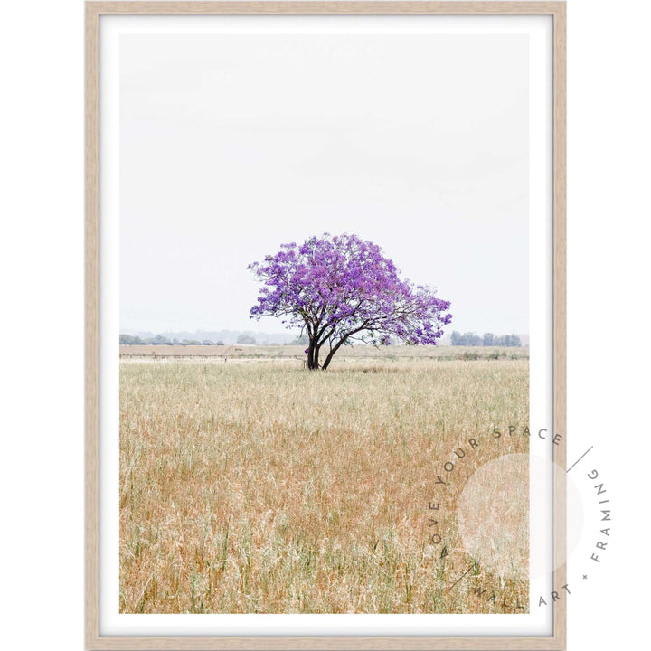 The Lonely Jacaranda I A4 (21cm x 29.7cm) / Oak Posters Prints & Visual Artwork