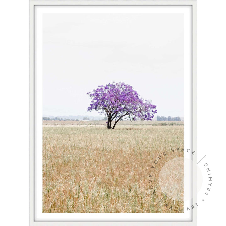 The Lonely Jacaranda I A4 (21cm x 29.7cm) / White Posters Prints & Visual Artwork