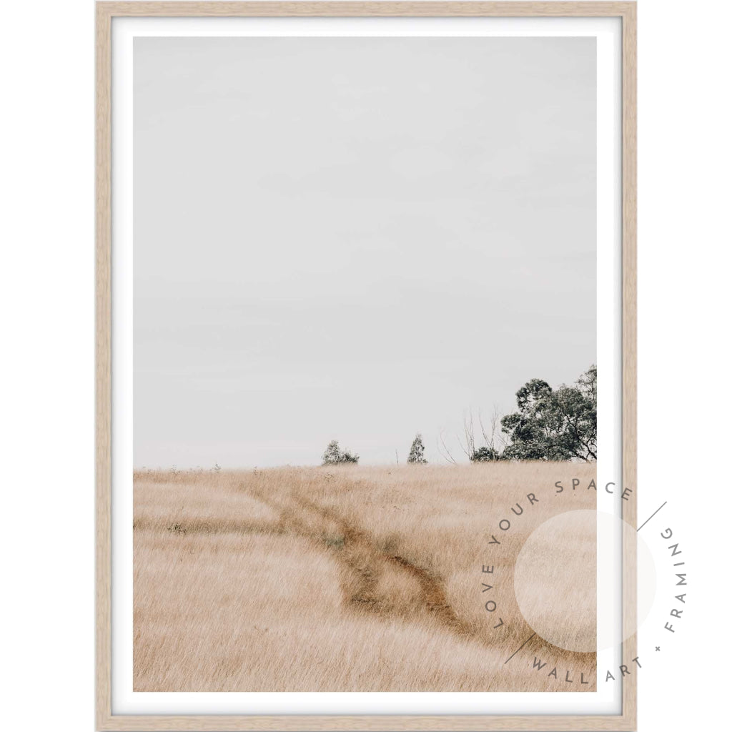 Traces A4 (21cm x 29.7cm) / Oak Posters Prints & Visual Artwork