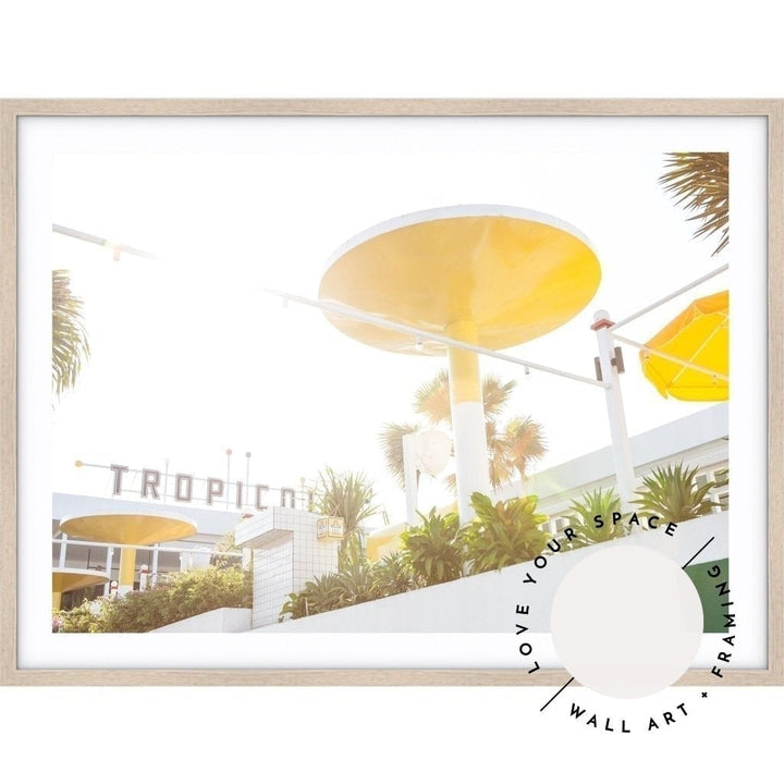 Tropicola no.1 - Love Your Space