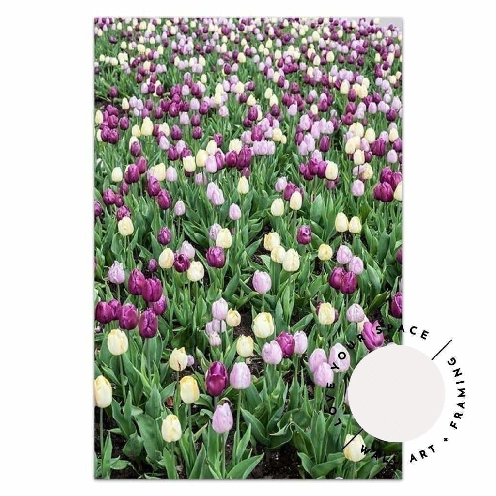 Tulip Field - Love Your Space