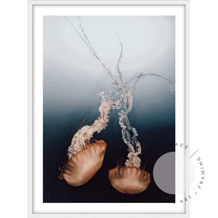 Twin Jellyfish