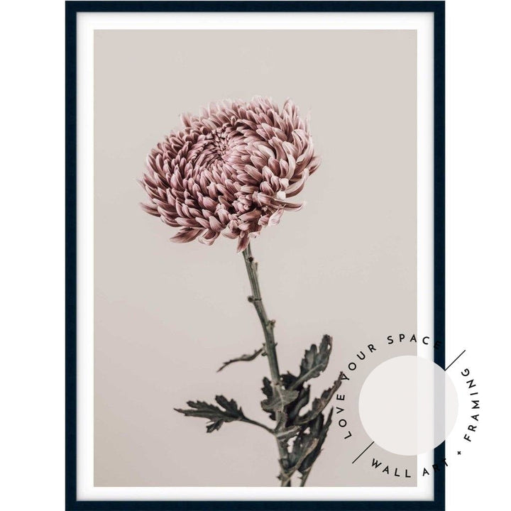 Vintage Chrysanthemums II - Love Your Space