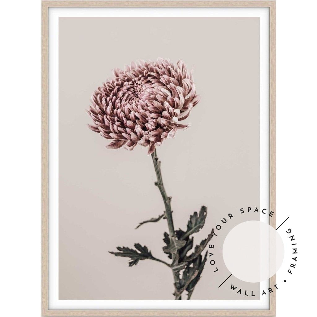 Vintage Chrysanthemums II - Love Your Space